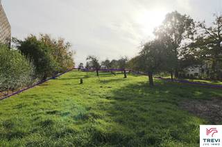 Beau terrain à bâtir avec accès à rue de 65 ares sis en zone d'habitat à caractère rural. Façade de +/- 25 m sur une profondeur de +/- 130 m. Libre...