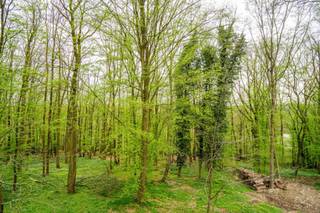 Grond te koop in Walcourt