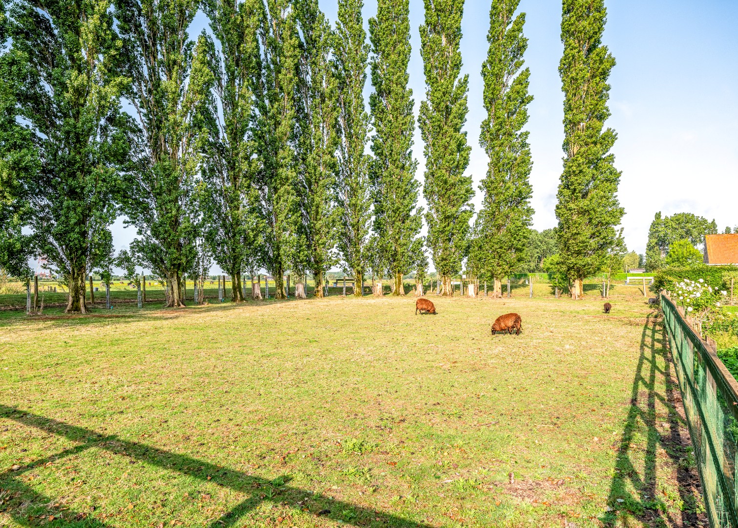 House for sale in Lo-Reninge with 3 bedrooms - photo 5