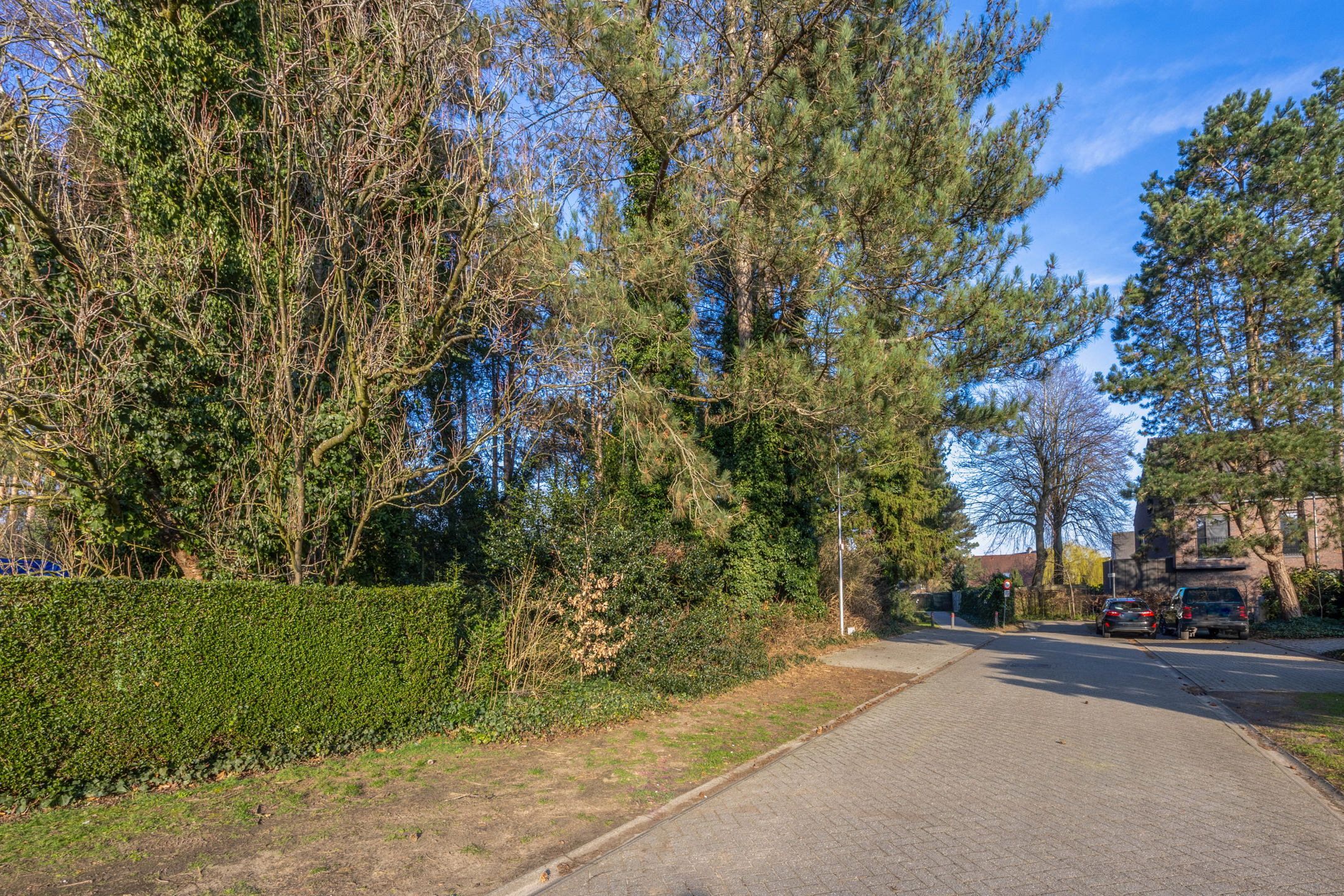 Land for sale in Nijlen - photo 3