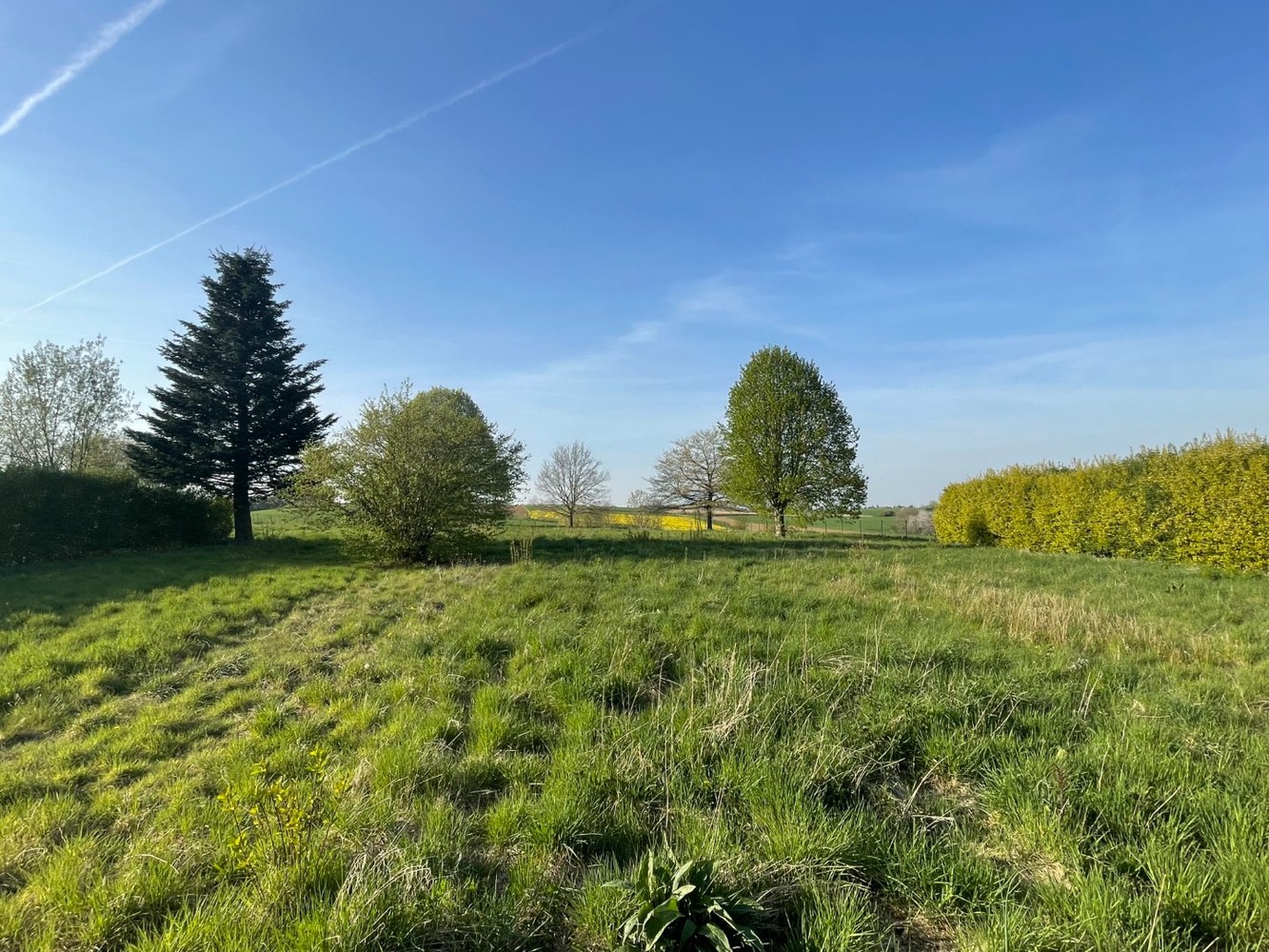 Gunstig gelegen bouwgrond van 08a92ca - foto 2