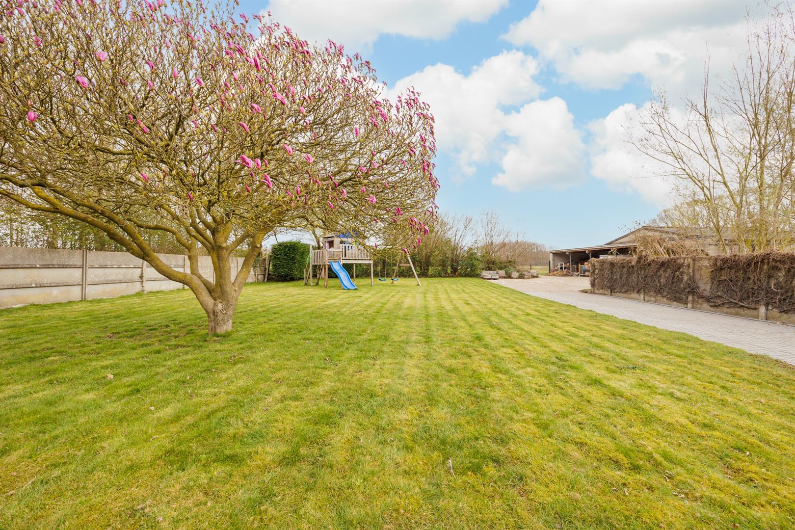 Woning, weiland en vergund bijgebouw te Booischot! - foto 2