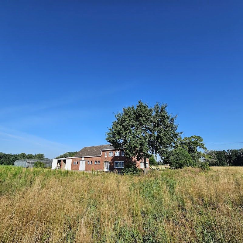 House for sale in Putte - photo 3