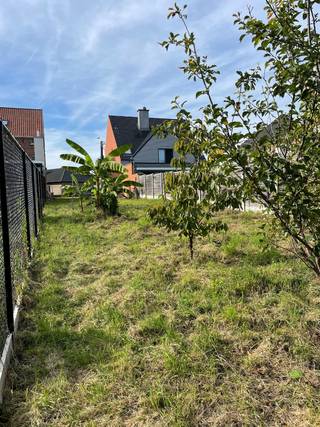 Land for sale in Bornem