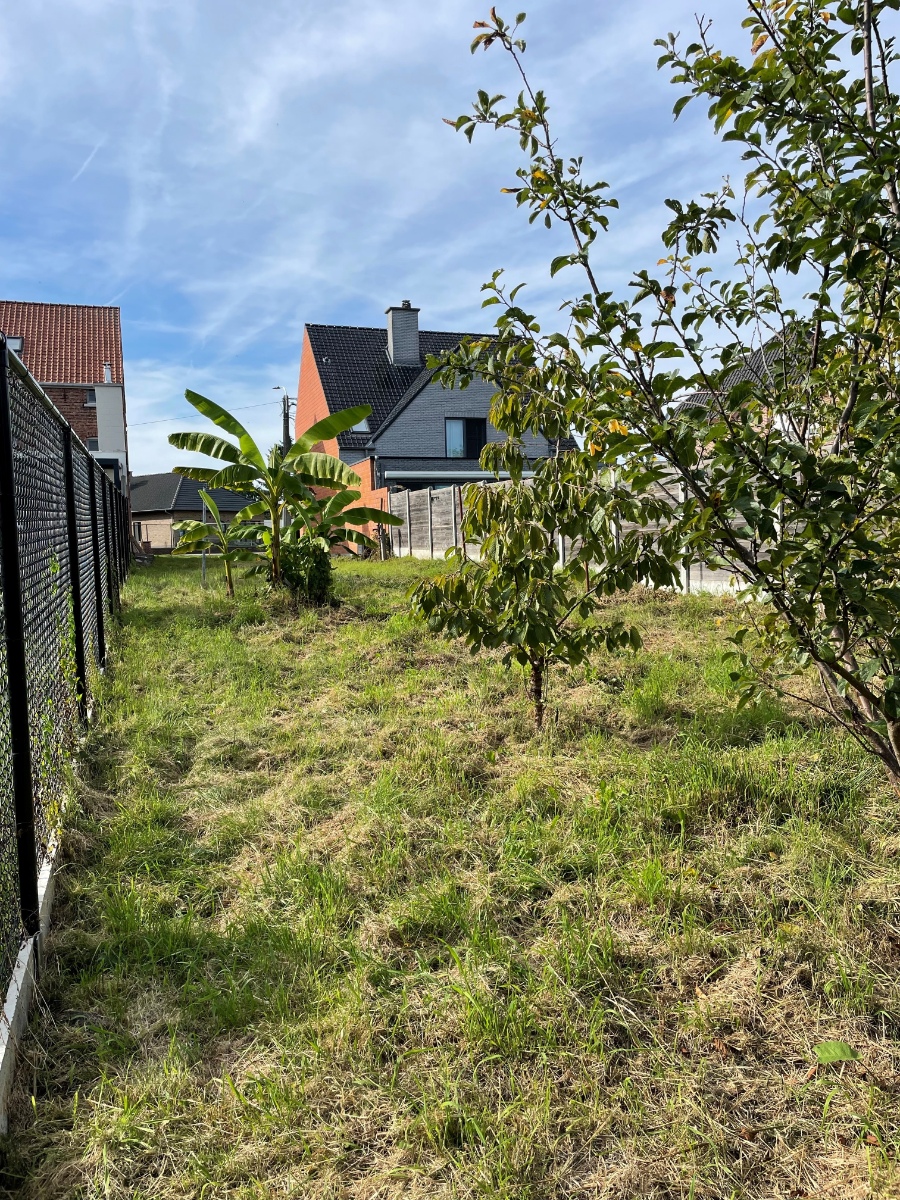 Land for sale in Bornem - photo 2