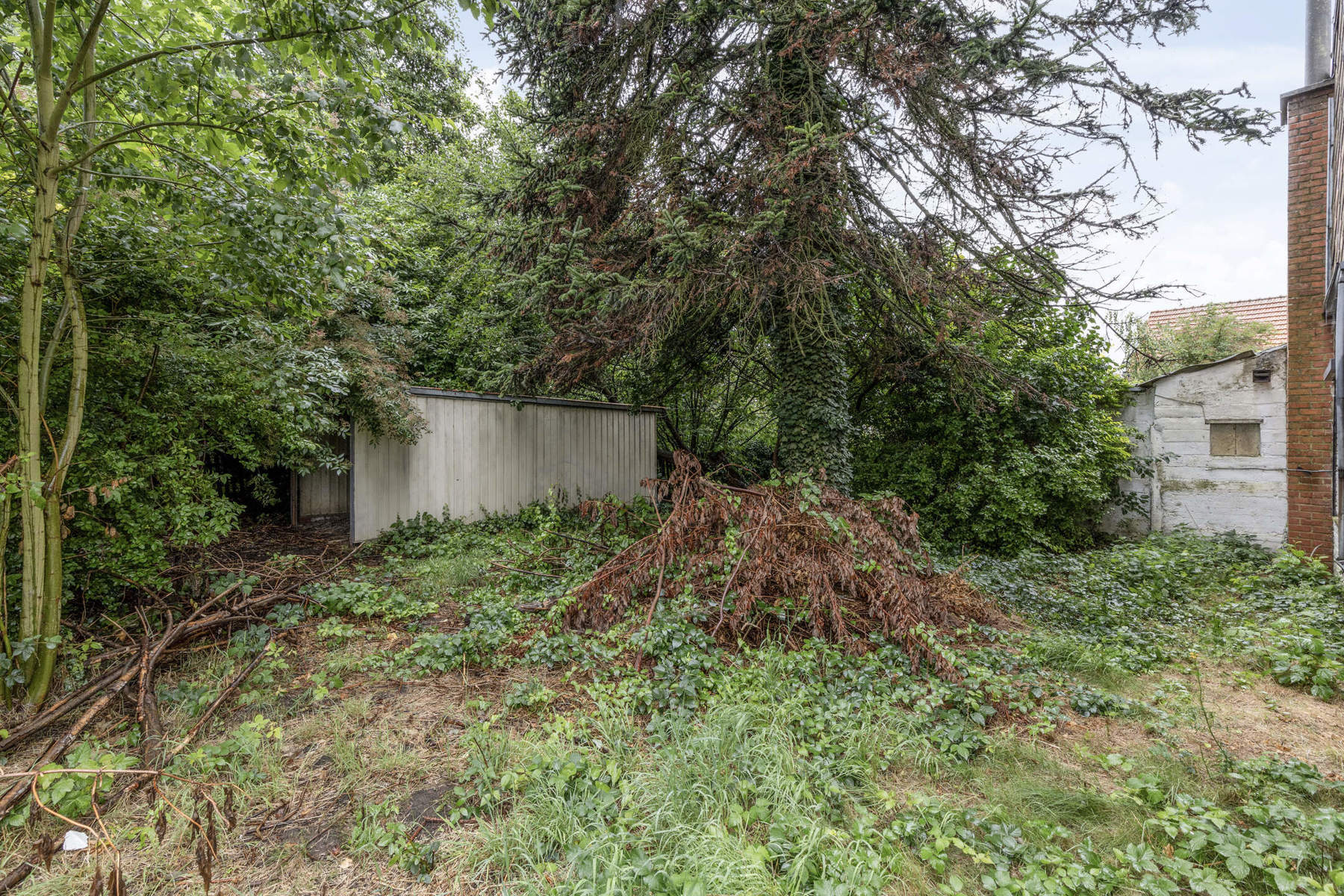 Maison à vendre à Glabbeek avec 3 chambres - photo 5