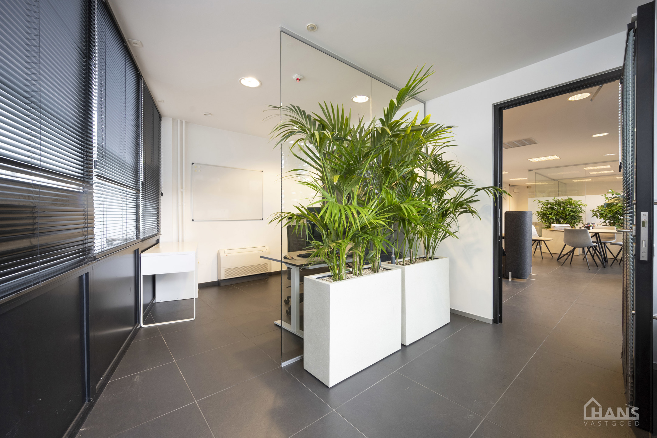 …