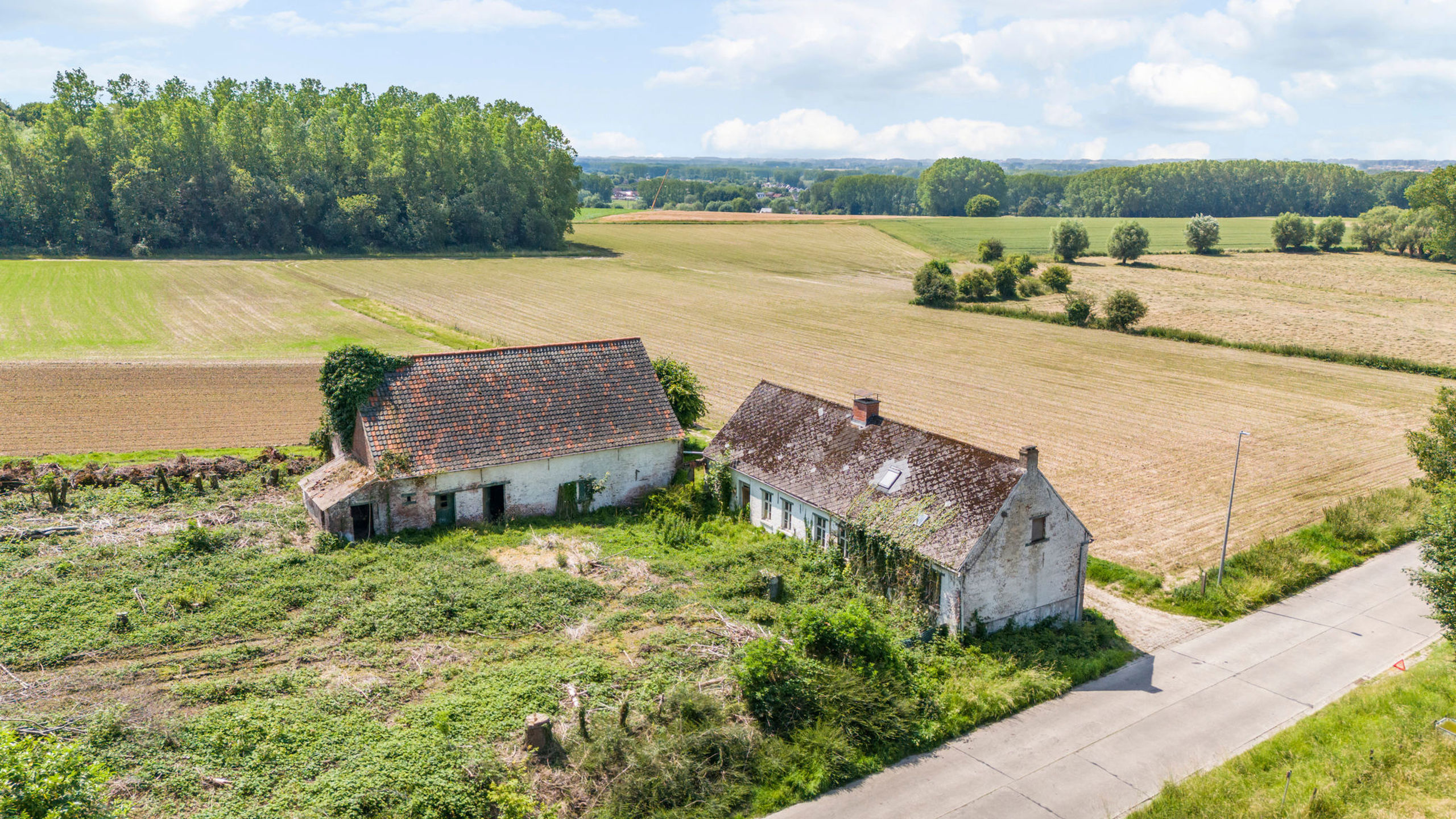 Prachtig gelegen te renovere L hoeve op 3ha 80a - foto 2