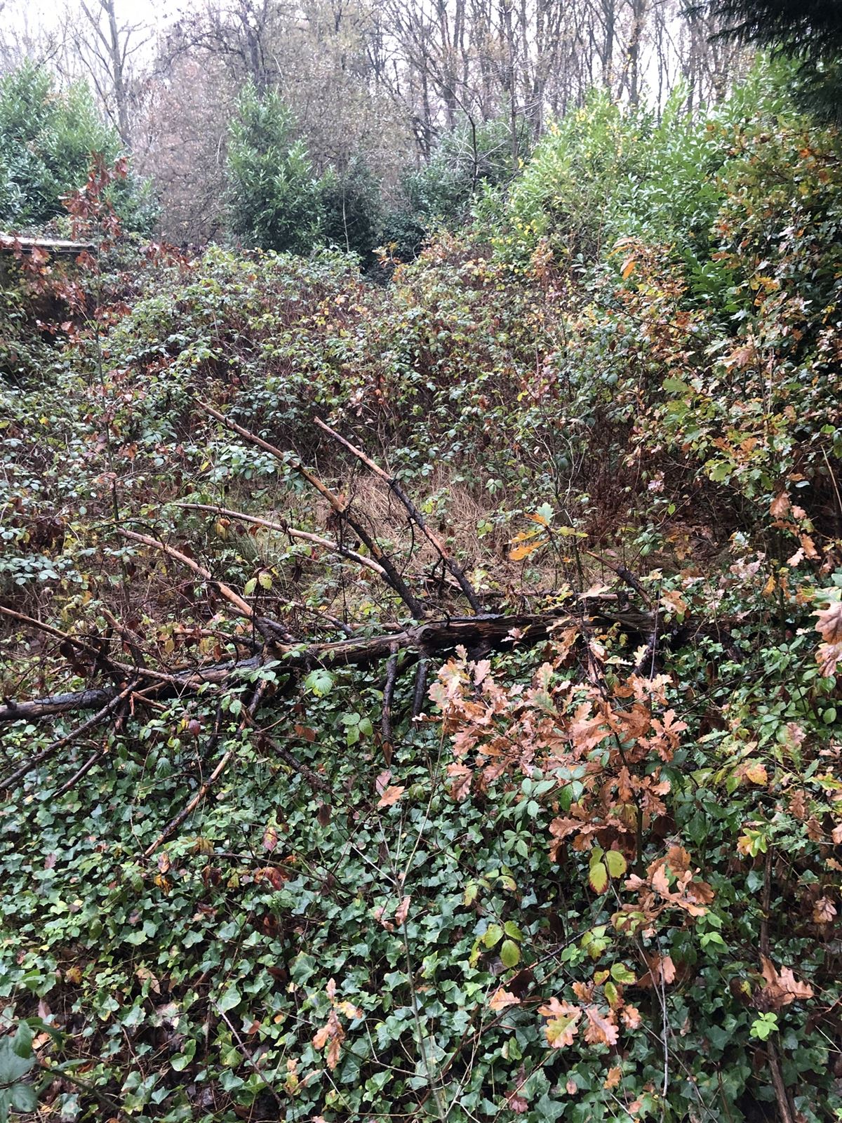 Agrarisch gebied - foto 5