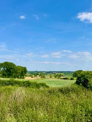 TE KOOP – MAARKEDAL. Ontdek deze goed gelegen bouwgrond (HOB) van 294 m² in het charmante Maarkedal, waar je elke dag geniet van een...