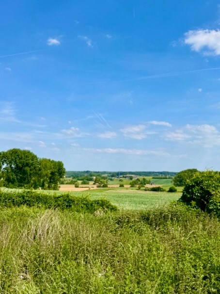 Bouwgrond met open zicht in het groene Maarkedal - foto 1