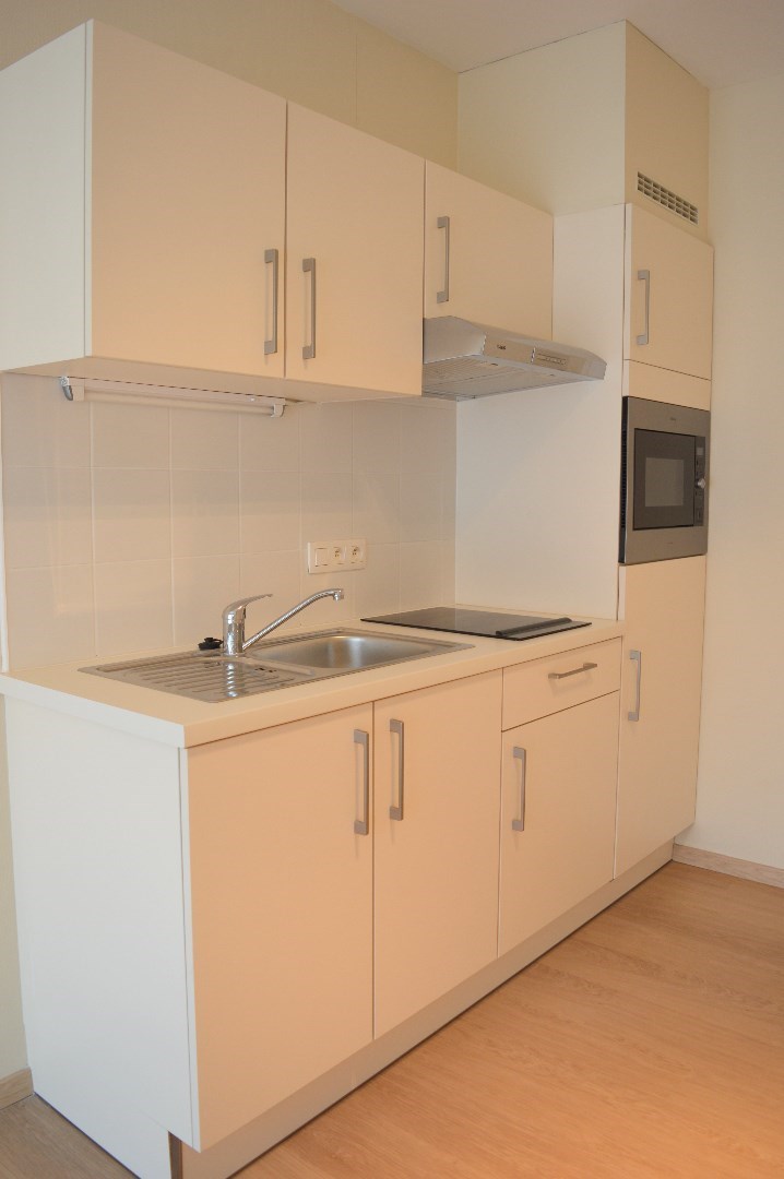 Instapklare serviceflat met 1 slaapkamer met gemeenschappelijke tuin - foto 2