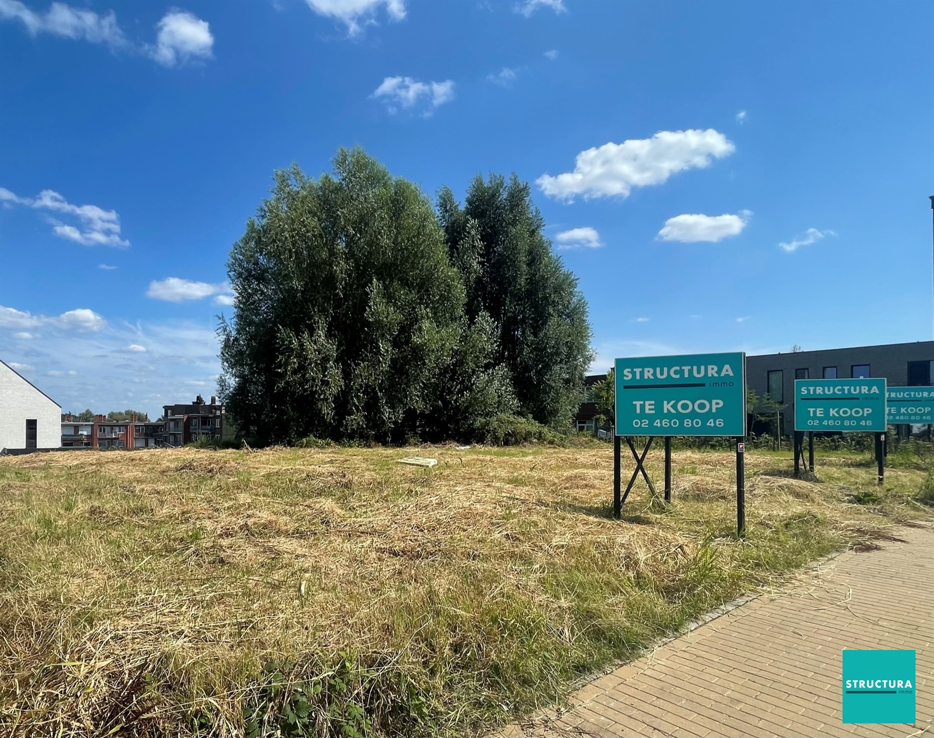 House for sale in Asse with 3 bedrooms - photo 3