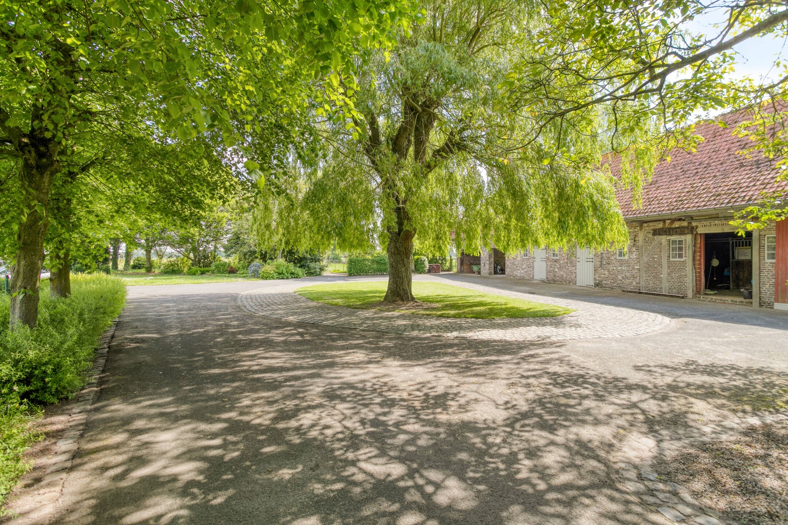 Karaktervolle hoeve op unieke ligging - foto 4