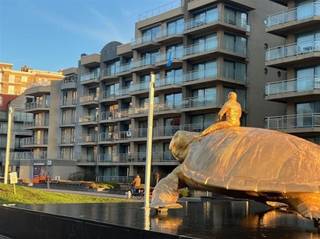 Topstudio op absolute topligging, gelegen op de 4de verdieping met een uniek uitzicht op de beroemde schildpad. Deze zuidgerichte studio met...