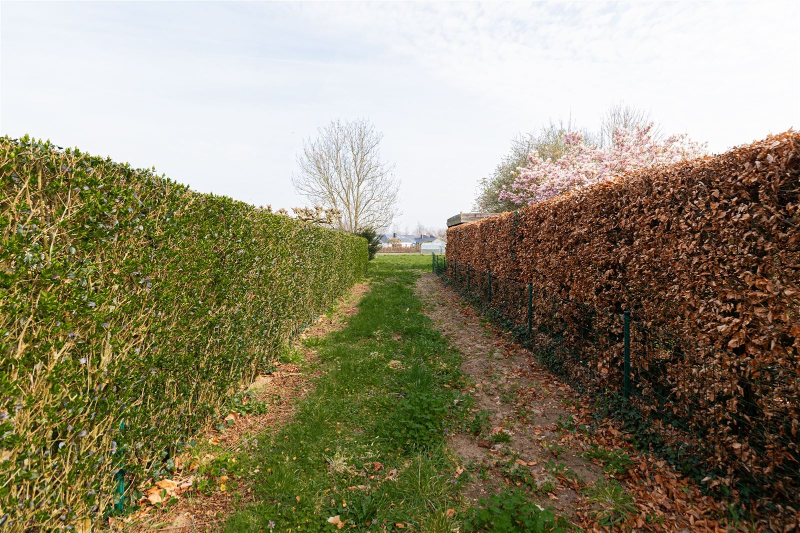 Terrain à bâtir pour un développement ouvert avec allée privée ! - photo 3