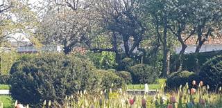 Deze projectgrond is gelegen in woongebied en heeft volgende mogelijkheden. Volgens de huidige bouwvisie zijn zowel appartementen...