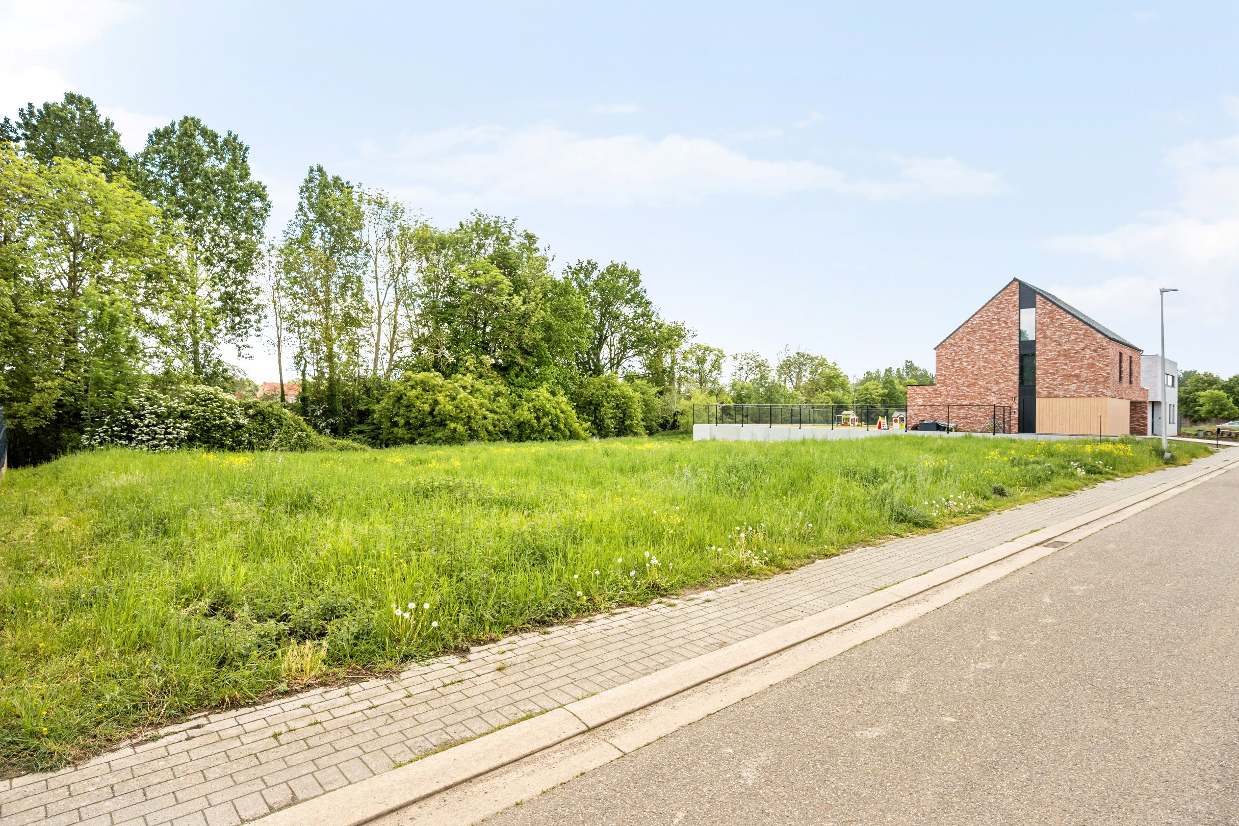 Land for sale in Heers - photo 4