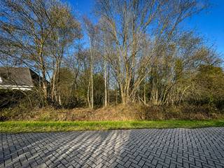 Grond voor open bebouwing in rustige, residentiële buurt.<br /><br />Bent u op zoek naar de ideale locatie om uw droomwoning te bouwen? Deze ruime bouwgrond van maar liefst 1508 m² is rustig gelegen in een aangename en residentiële woonwijk.<br /><br />Het perceel biedt uitstekende bouwmogelijkheden voor open bebouwing, met een straatbreedte van ca. 35 meter en een diepte van ca. 46 meter. <br />De mogelijke bouwbreedte bedraagt ca. 23 meter en de bouwdiepte ca. 20 meter. Een plat dak of schuin dak zijn beiden toegelaten, wat u veel vrijheid geeft bij het ontwerpen van uw droomwoning.<br /><br />De ligging is een grote troef: u woont hier in alle rust, maar toch op korte afstand van het centrum van Kasterlee met winkels, horeca, scholen en openbaar vervoer.<br />Ook natuurliefhebbers komen hier volop aan hun trekken. De Kabouterberg, een geliefde plek voor gezinnen met kinderen, en het Provinciaal Groendomein Hoge Mouw, populair bij wandelaars en mountainbikers, bevinden zich vlakbij.<br /><br />Kortom, een uitzonderlijke kans voor wie ruimte, rust en een groene omgeving wil combineren met een vlotte bereikbaarheid van alle voorzieningen.<br /><br />Op dit perceel is geen bouwverplichting.<br />Bouwvoorschriften verkrijgbaar op aanvraag.<br /><br />Interesse? Neem gerust contact op voor meer informatie op het nummer 014 58 02 08.<br /><em><br />*De aanduiding op de foto is van informatieve aard. De werkelijke perceelsgrens kan afwijken van deze afbeelding.<br /></em>