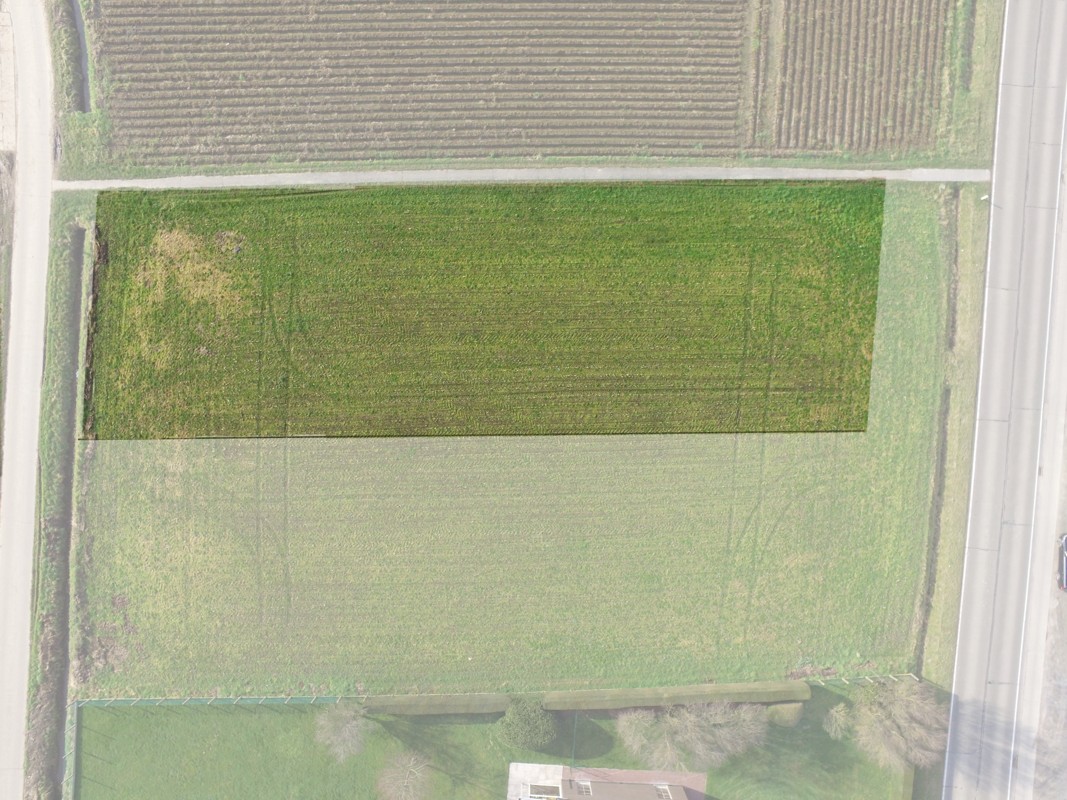 Bouwgrond te Oudenaarde voor villa/open bebouwing - foto 3