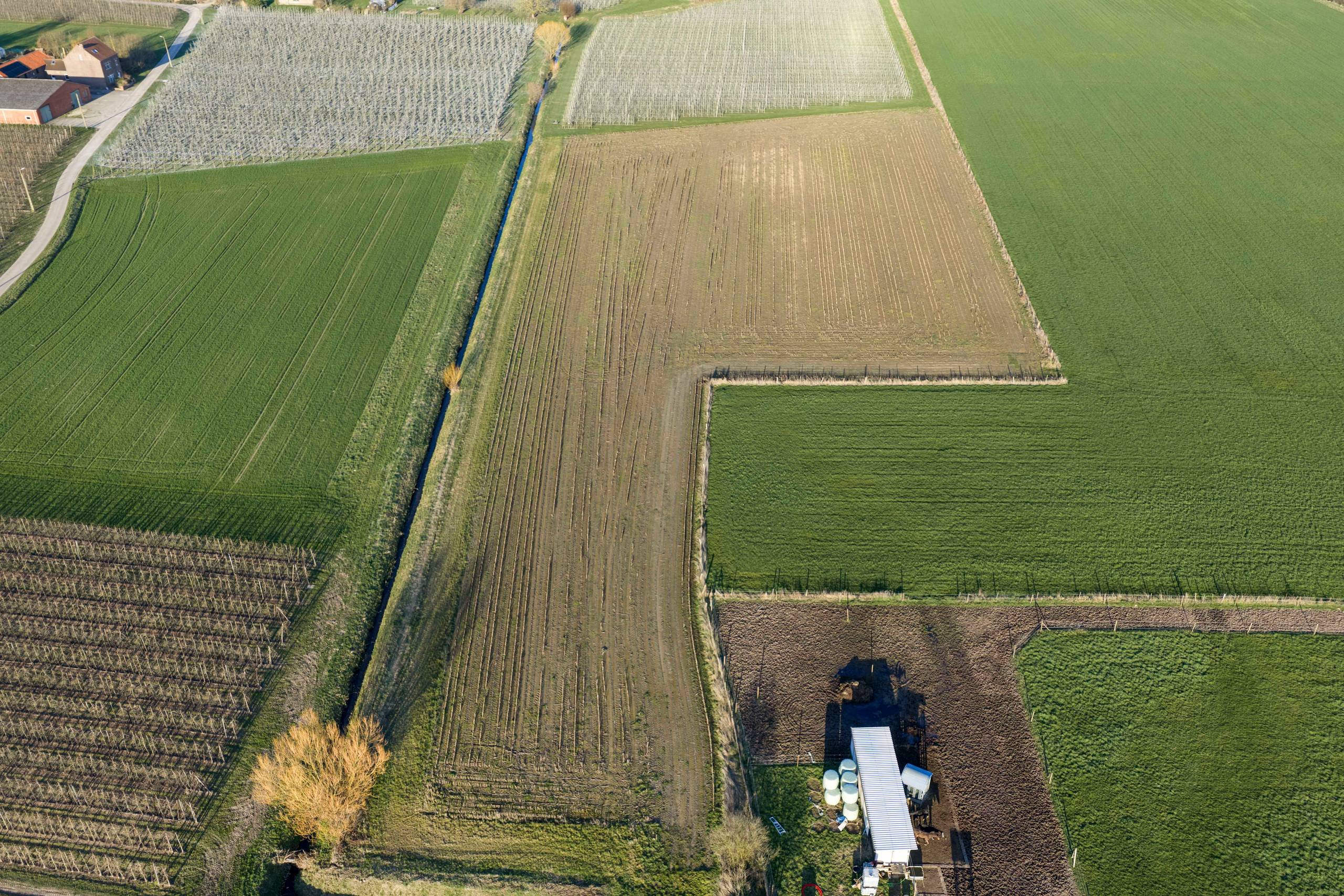 Woning met magazijn en boomgaard te koop Kortenaken - foto 4
