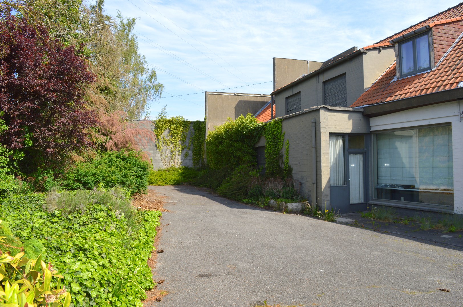 Te renoveren of herbouwen woonst met commerciële functie én aanliggende weidegrond - foto 2