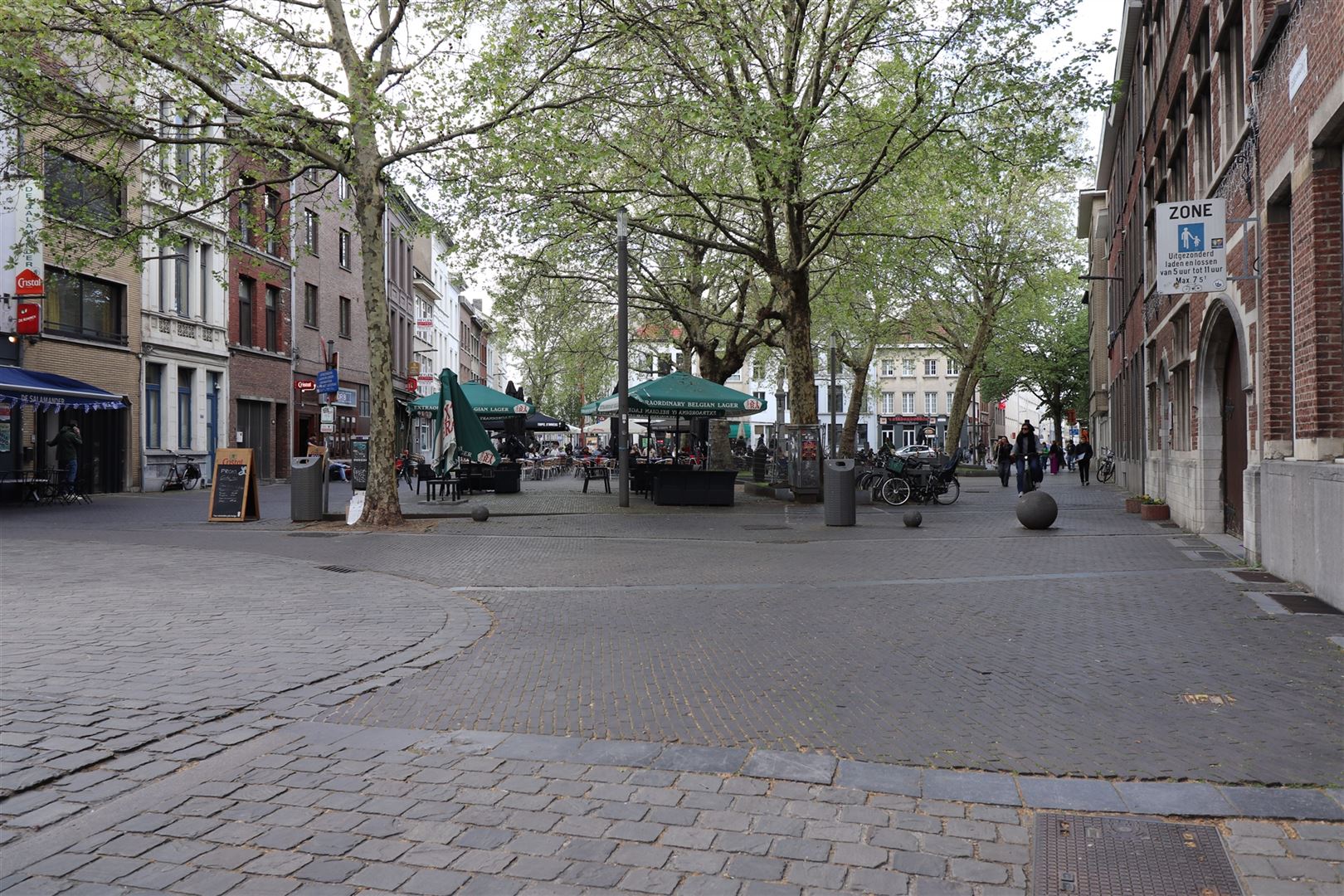 Orther - photo 5