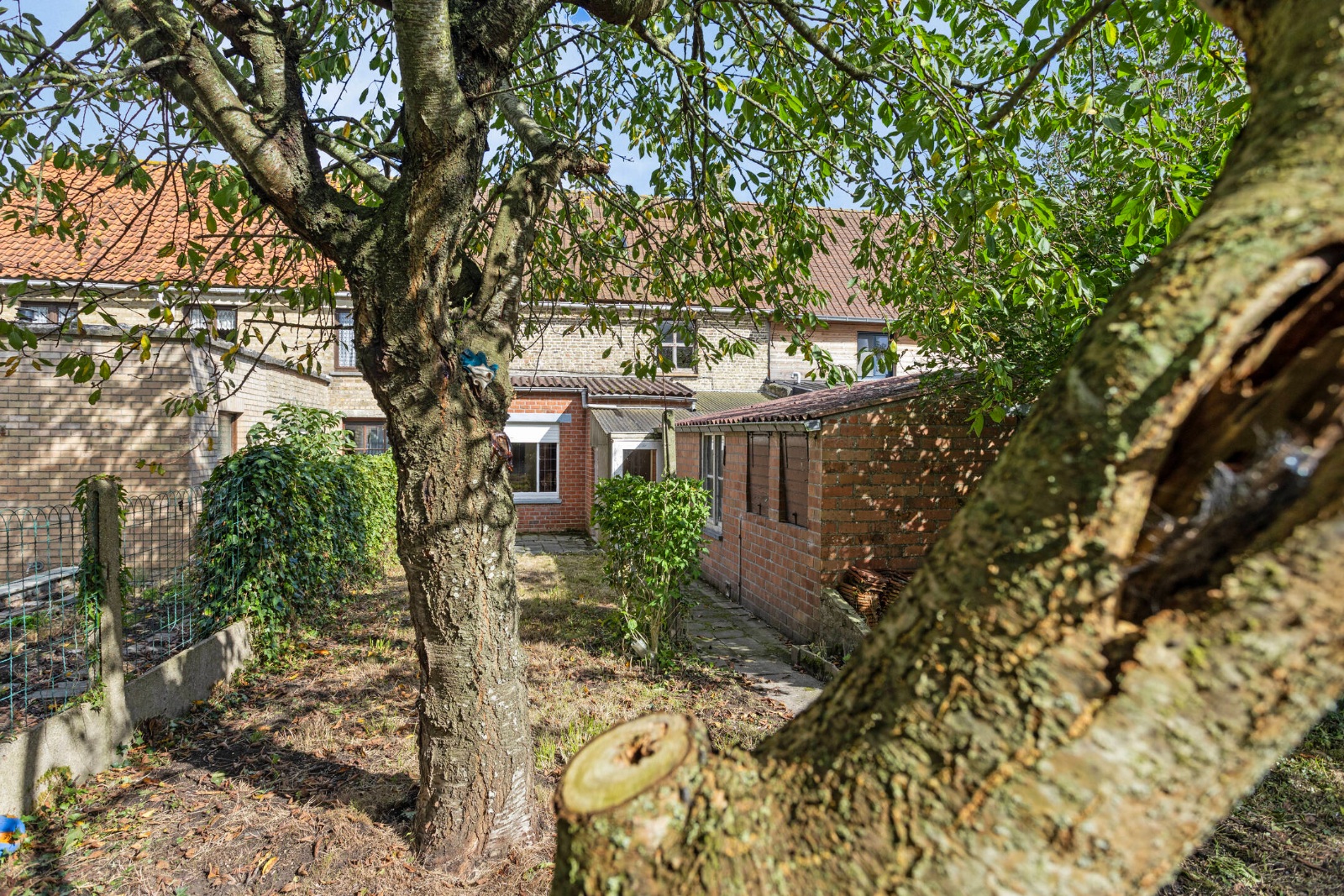 Maison à vendre à Lo-Reninge avec 4 chambres - photo 2