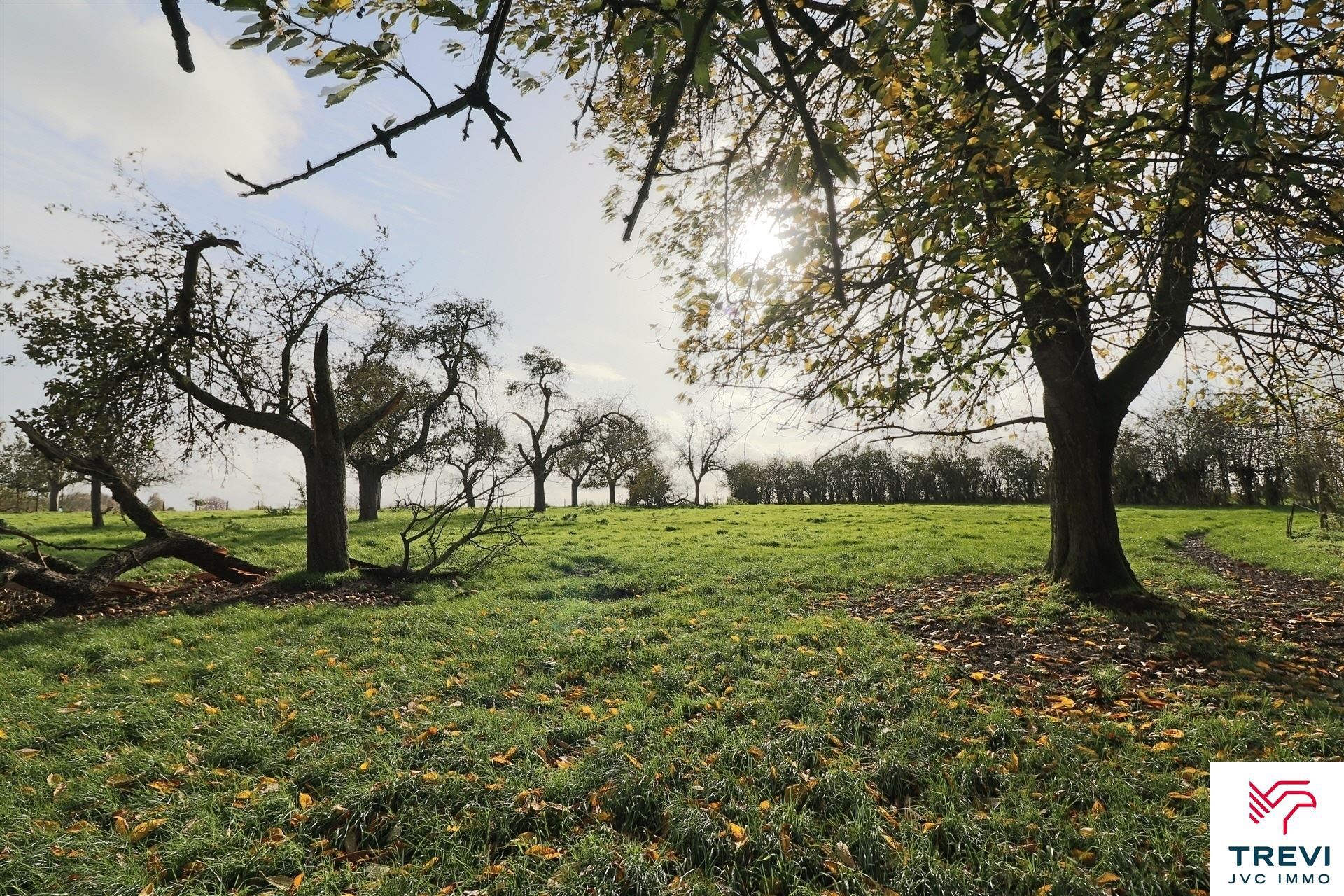 Terrain à bâtir avec vue dégagée arrière sur campagne - photo 3