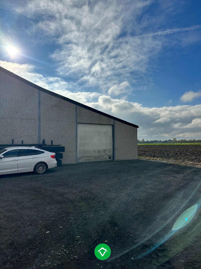 Commercial for rent in Diksmuide - photo 4