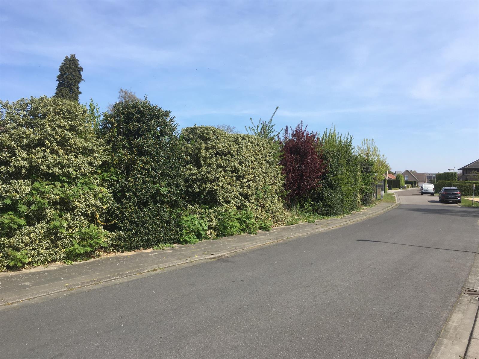 House for sale in Roeselare with 3 bedrooms - photo 4