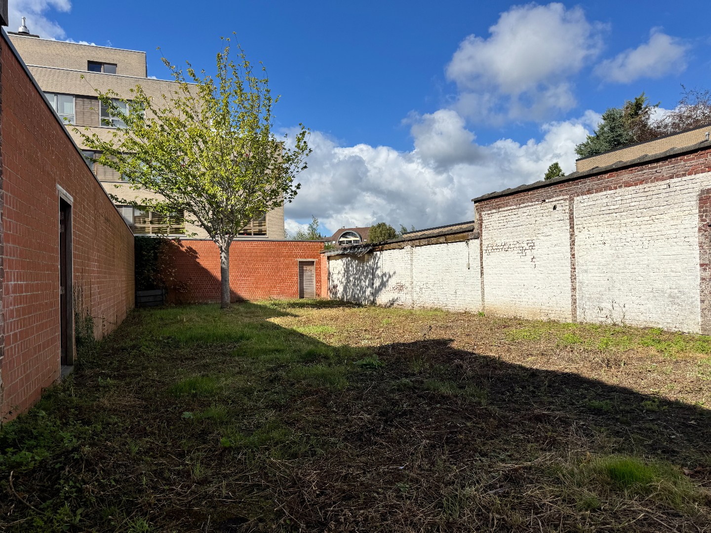 Leuke woning met 4 kamers, bijgebouw en uitweg - foto 4