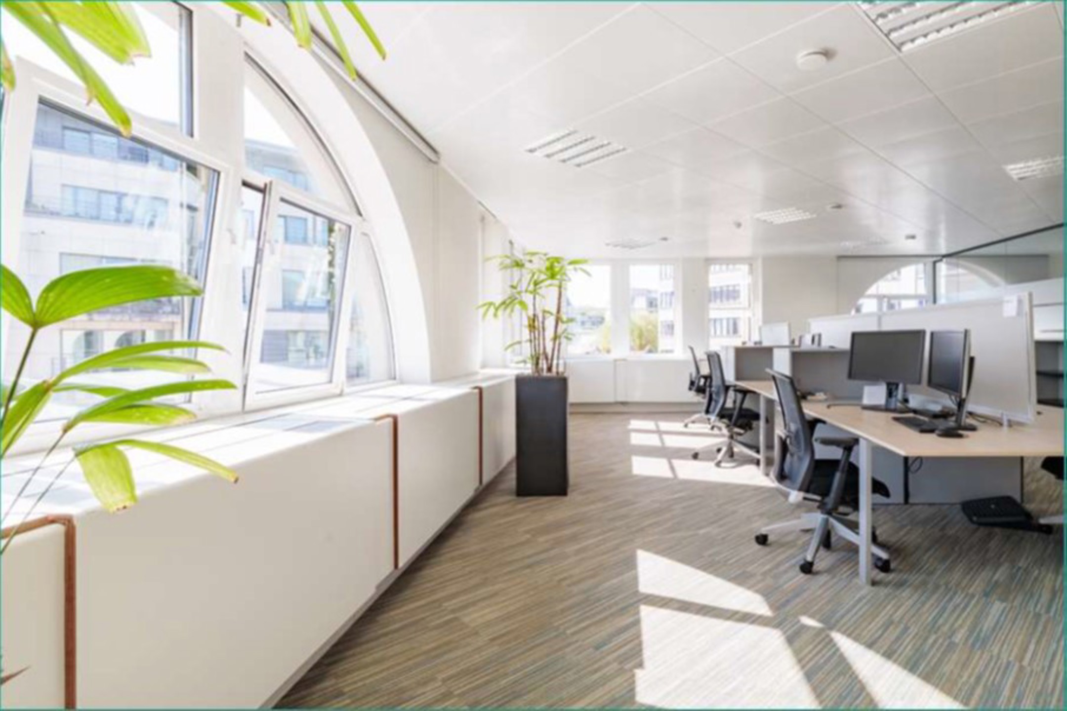 Kantoren te huur - foto 2