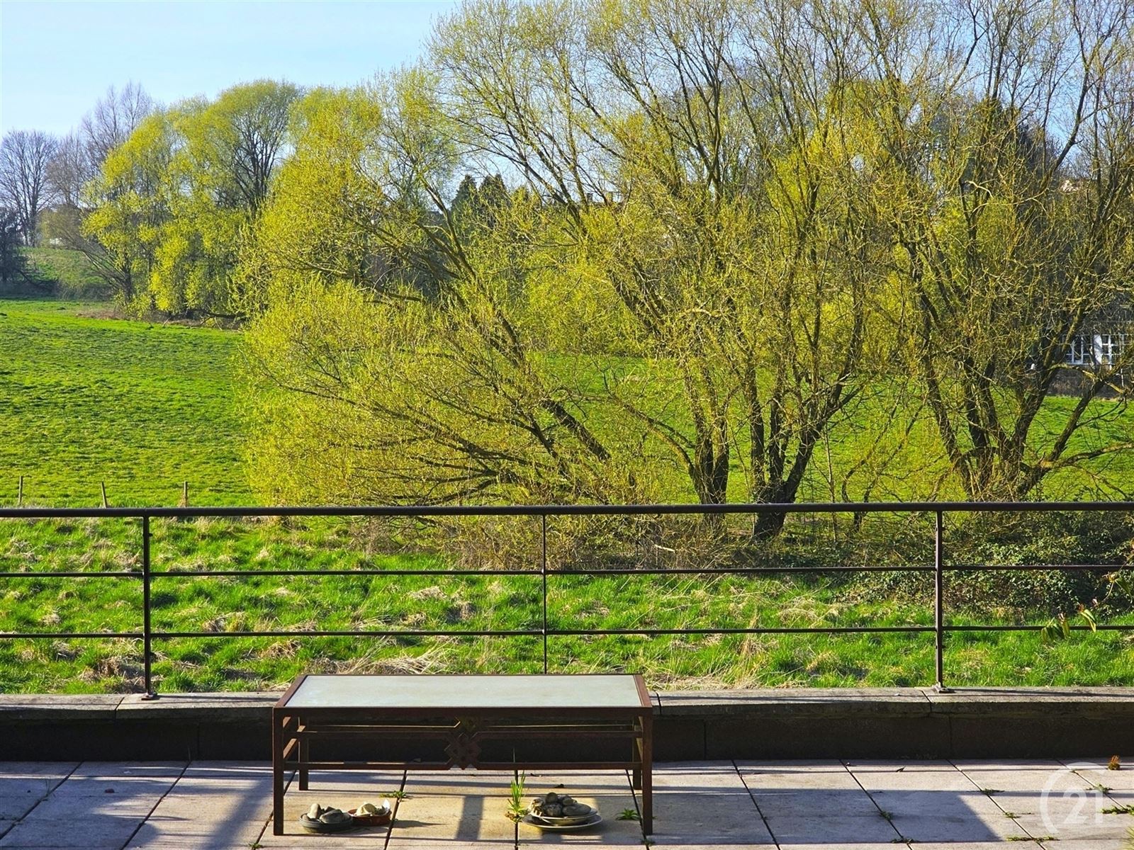 Magnifiek gelijkvloersappartement met royaal terras en weids uitzicht

 - foto 2