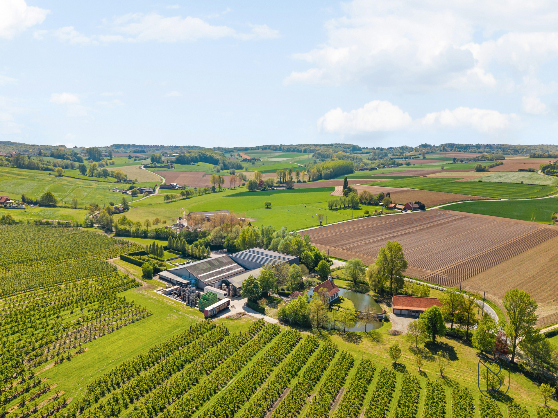 Unieke eigendom op 18 hectare te Kwaremont.  - foto 4