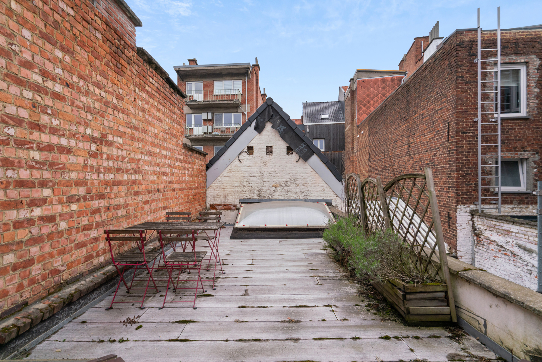 Gezellige woning met dakterras en top ligging te Leuven! - foto 4