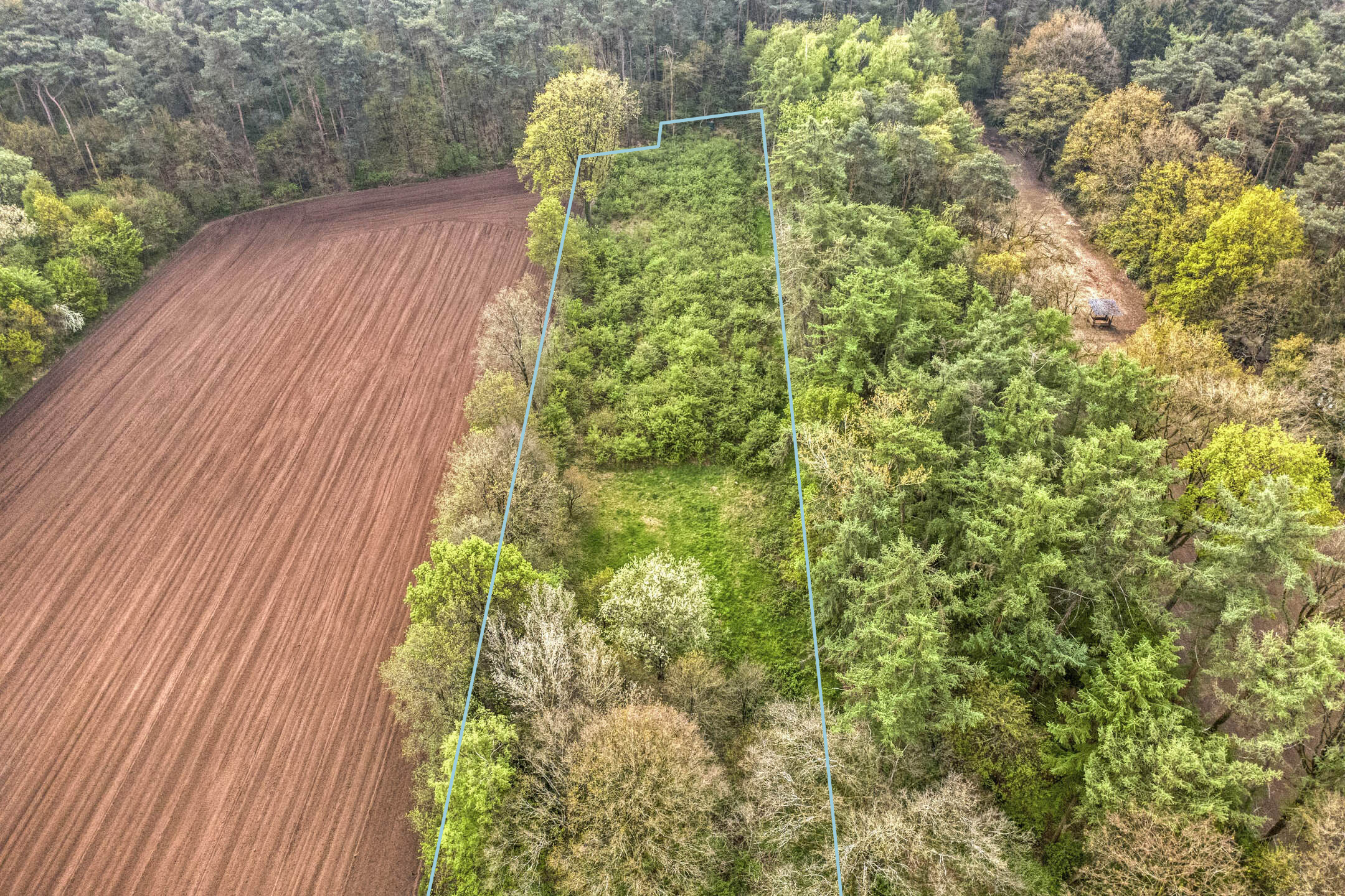 Deels beboste landbouwgrond van 3.905 m² - foto 5