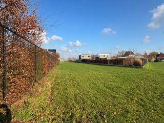 Deze ruime bouwgrond van 1.498 m² is gunstig gelegen aan de Steenweg op Leopoldsburg in Balen. Alle voorzieningen, zoals winkels, horeca, scholen...