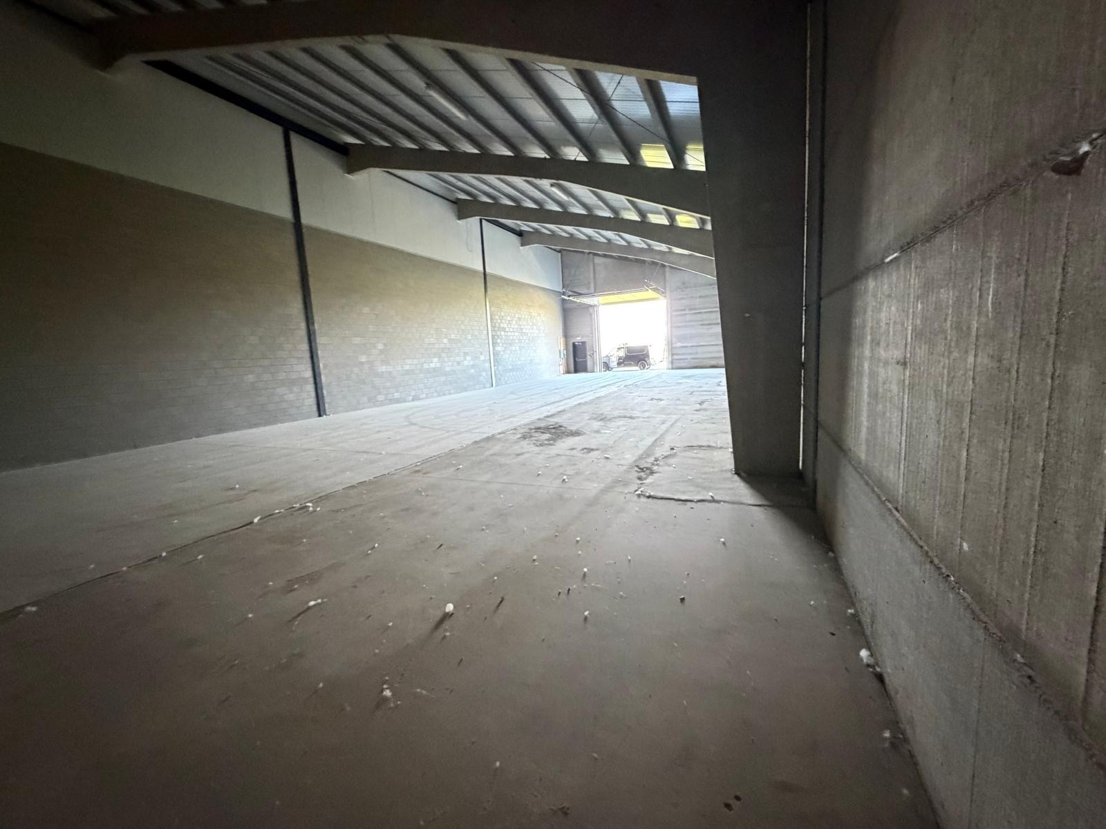 Commercial for sale in Werken - photo 5
