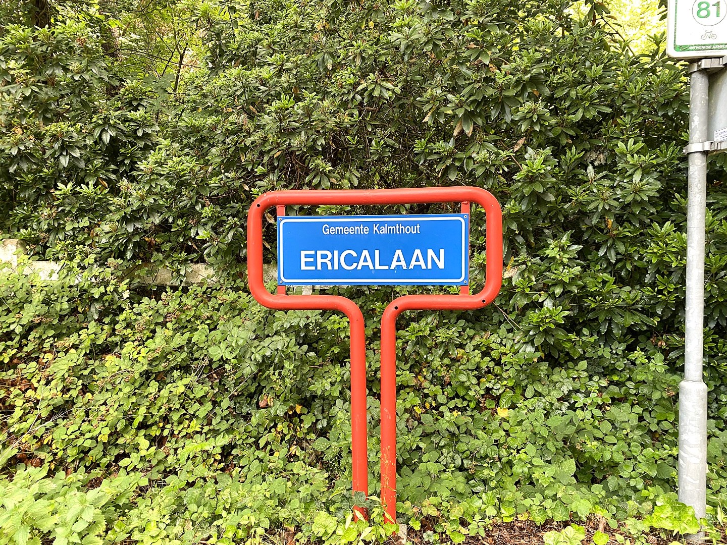 Prachtig perceel van 2100m² op mooie locatie! - foto 3