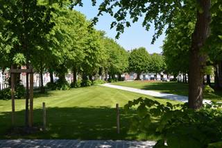 Wilt u uw handelszaak vestigen op een plek met karakter, uitstraling en natuurlijke passage? Op het charmante Drongenplein, omgeven door groen...