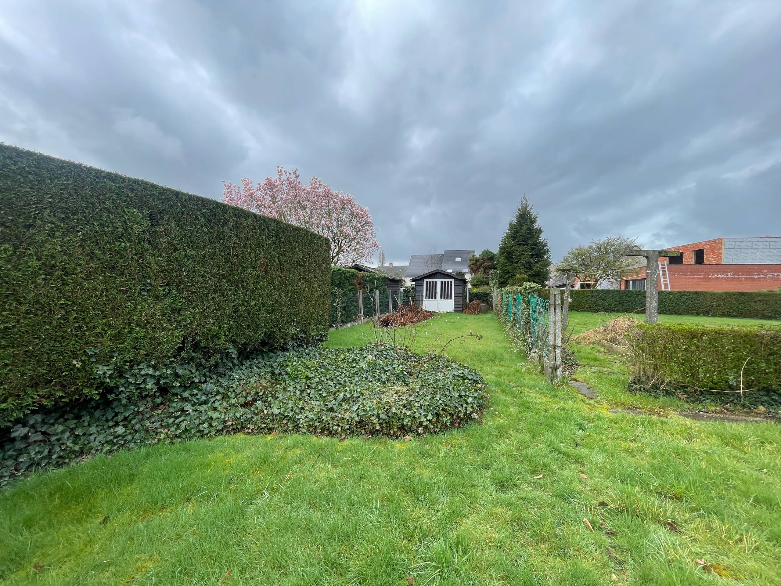 Land for sale in Wervik - photo 2