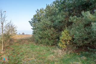 Land for sale in Hoogstraten