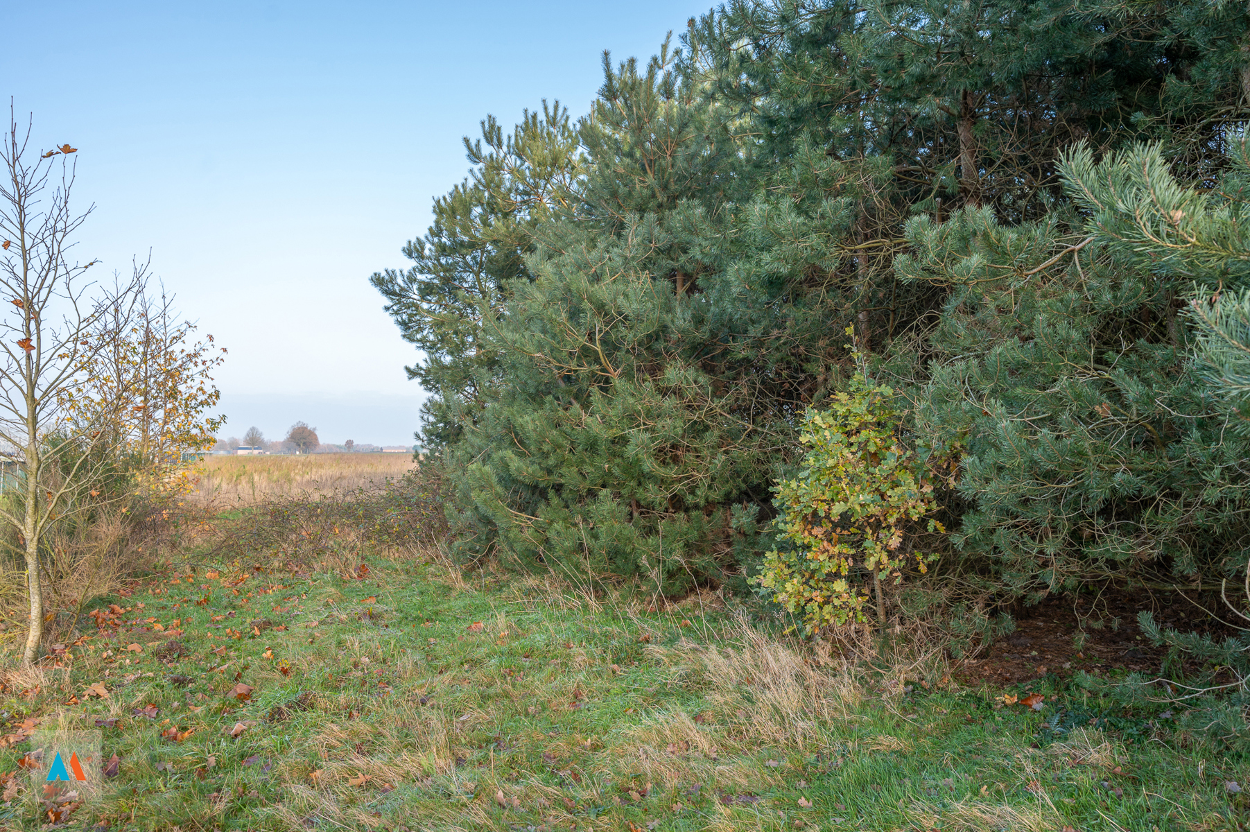Land for sale in Minderhout - photo 3
