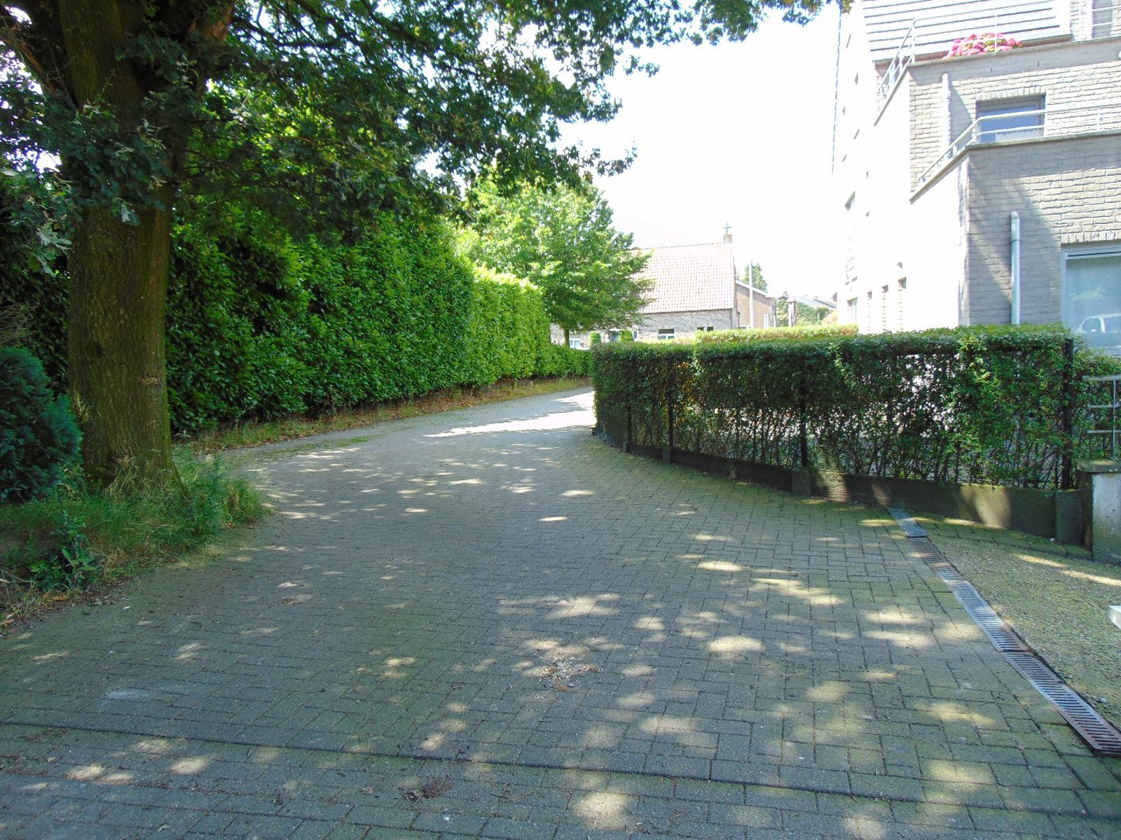 Parkeerplaatsen met beugel - foto 5