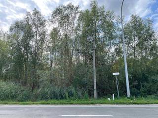 Een perceel bouwgrond voor open bebouwing en gelegen op 8a 70ca met een straatbreedte van 17,30m. Het perceel is gelegen in woongebied met...