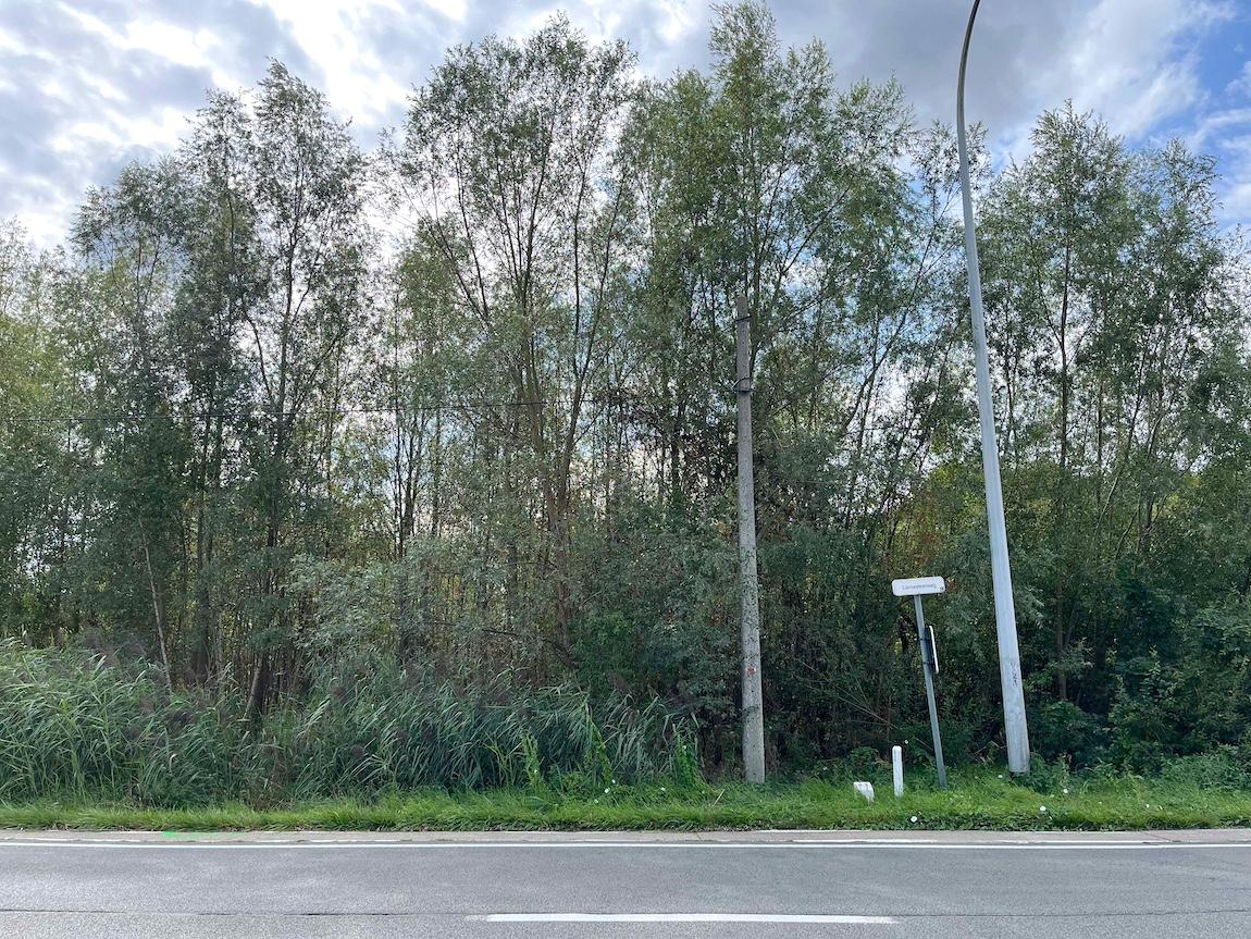 Land for sale in Begijnendijk - photo 3