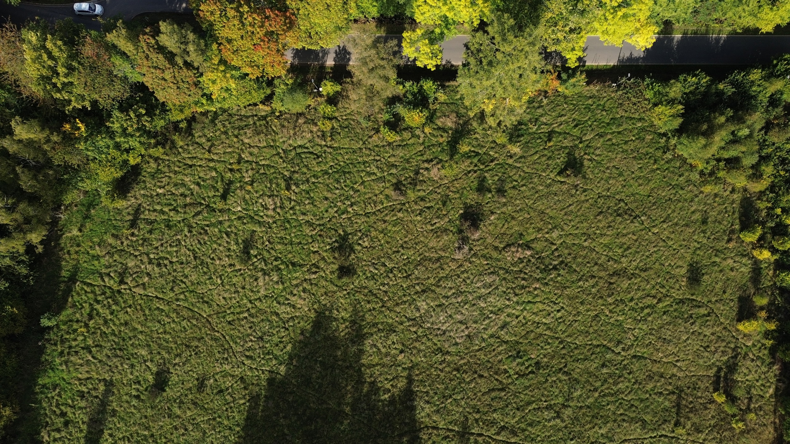 Land for sale in Stavelot - photo 3