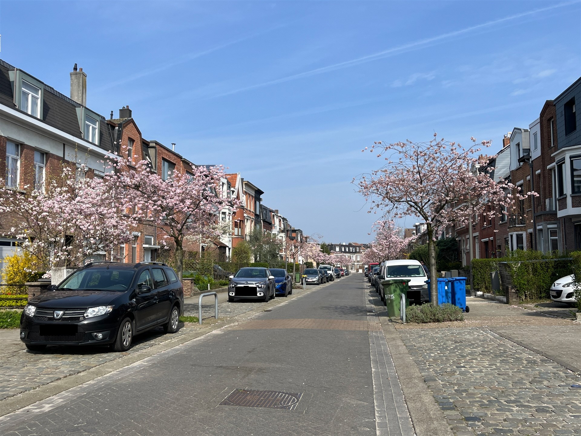 Appartementsgebouw met parking en zeer grote tuin! - foto 2