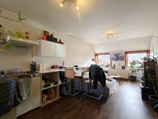 Bij het betreden van het dakappartement kom je in de woonkamer met open keuken.Verder beschikt het appartement over één slaapkamer, die voldoende...